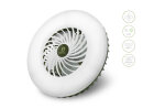 Delphin Ventix Ventilator mit Lampe 4400mAh
