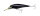 Lucky Craft Bevy Shad 60 SP