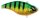 Spro Aruku Shad 75mm 18g