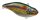 Spro Aruku Shad 75mm 18g