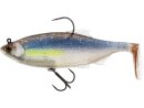 Westin Ricky the Roach  R2F Shadtail 14cm 57g