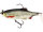 Westin Ricky the Roach  R2F Shadtail 14cm 57g
