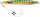 Williamson Vertical Speed Pilker Jig