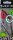 Westin SWIM Signature Colours  Low Floating 10cm 31g