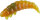 Balzer Trout Attack Bazillus 3cm Knoblauch