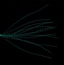 Balzer Shirasu Hollow Dancer 6cm