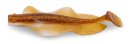 IronClaw Hecht & Zander Wave Glider 13cm