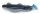 IronClaw Hecht & Zander Wave Glider 13cm