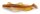 IronClaw Hecht & Zander Wave Glider 13cm