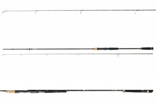 Daiwa Legalis Allround 3,00m 10-50g
