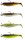 SavageGear Cannibal Shad 6,8cm 3g WaterMix