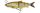 Savage Gear 4D Line Thru Whitefish 17cm 53g MS