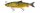 Savage Gear 4D Line Thru Whitefish 17cm 53g MS