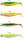 SavageGear Cannibal Shad 10cm 10g WaterMix