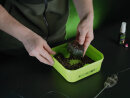 Delphin Method Quix Feeder Mould Reaxe XL