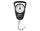 Delphin Mechanische Waage Bold 35kg mit Maßband