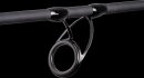 Raubfisch Combo 2,70m 30g + 3000FD Rolle