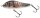 Salmo Rattlin Hornet floating 6,5cm 20g