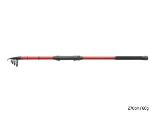Delphin Amulet Tele 2,70m 80g