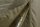 Brolly Entrix XL MK2