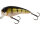 Westin FatBite Crankbait 5,5cm 8g floating