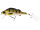 Westin Percy The Perch Crankbait 10cm 20g floating