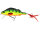 Westin Percy The Perch Crankbait 10cm 20g floating