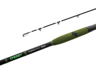 Delphin Energy Catfish 500g 2tlg.