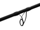 Delphin Reaxe Feederrute 3,00m - 100g