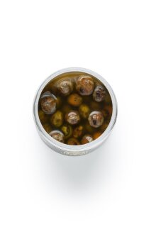 Scopex Vanille